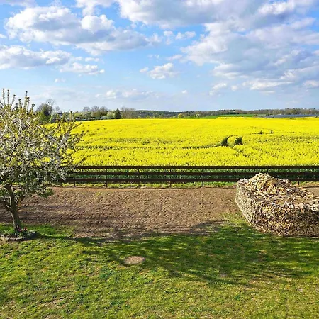 Ferienwohnung Woldegk Woldegk